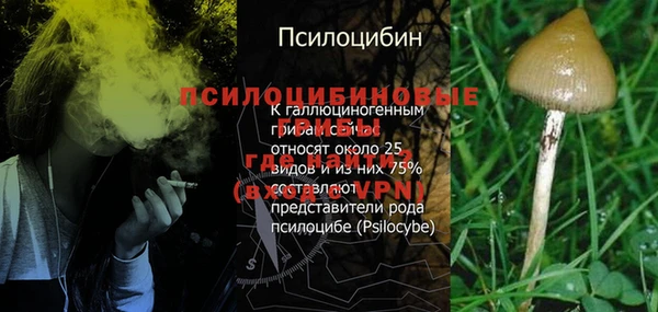гашик Арсеньев