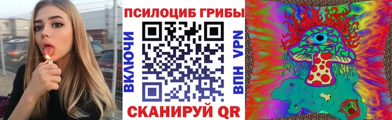 где купить   Бавлы  Псилоцибиновые грибы GOLDEN TEACHER 